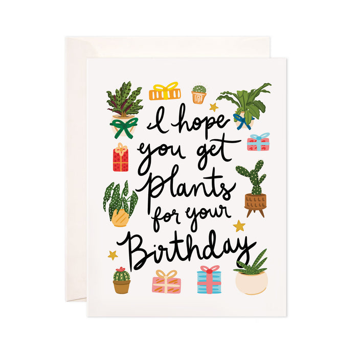 Plants for Bday