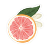Grapefruit Sticker - Bloomwolf Studio Sticker of a Pink Sliced Grapefruit, Green Leaf 