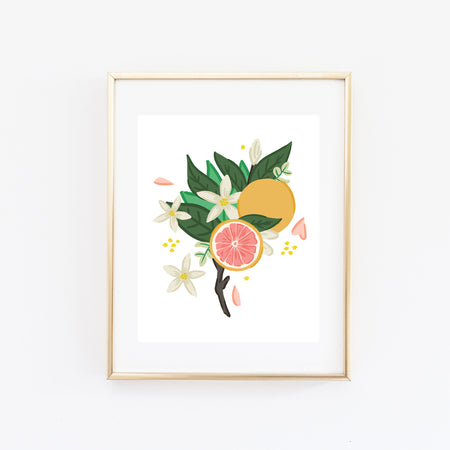 Grapefruit Bloom Art Print - Bloomwolf Studio
