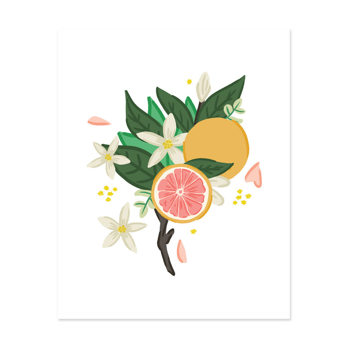 Grapefruit Bloom Art Print - Bloomwolf Studio Print With Grapefruit, White Flowers, Green Leaves 